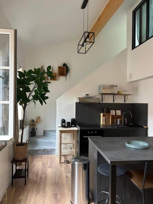Le Duplex Catherine - Metro - Gare - Wifi Toulouse Luaran gambar