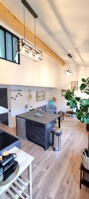 Le Duplex Catherine - Metro - Gare - Wifi Toulouse Luaran gambar
