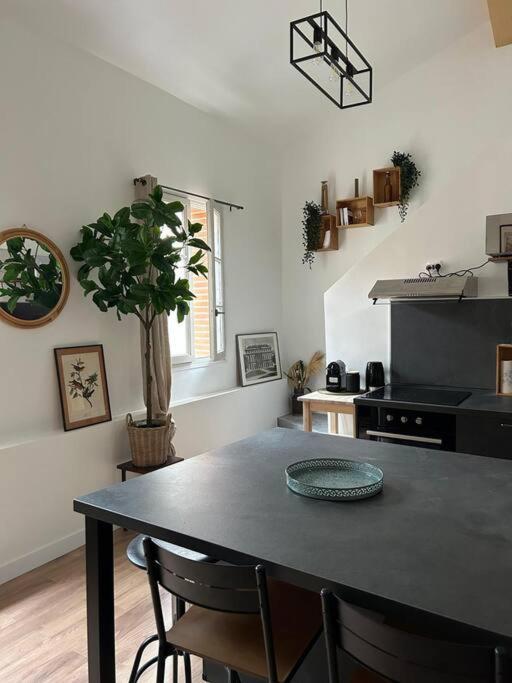 Le Duplex Catherine - Metro - Gare - Wifi Toulouse Luaran gambar